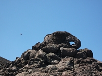Passo_dei_Dammusi - 02062012 070.jpg
